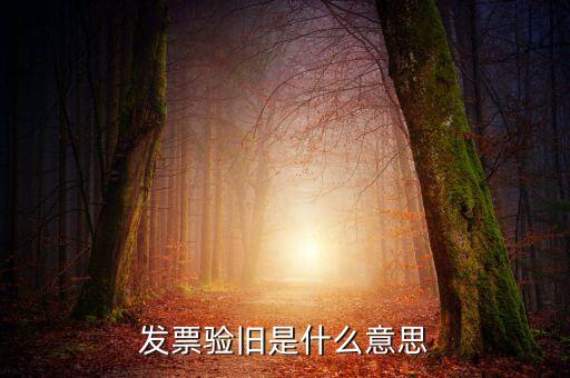增值稅驗舊是什么意思，發(fā)票驗證時提示舊系統已驗舊是什么意思