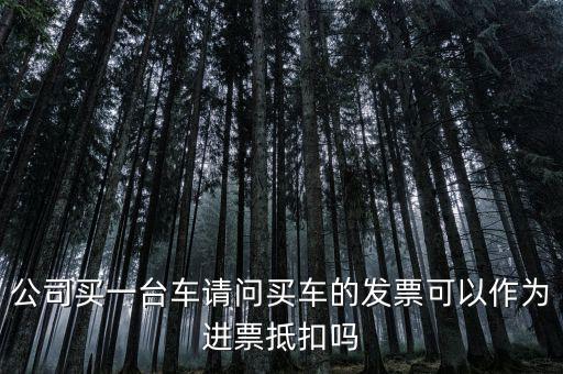 公司買一臺(tái)車請(qǐng)問買車的發(fā)票可以作為進(jìn)票抵扣嗎