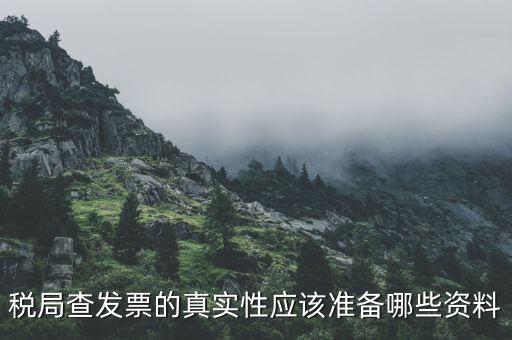 稅務(wù)局主要查發(fā)票什么資料，稅局查發(fā)票的真實(shí)性應(yīng)該準(zhǔn)備哪些資料