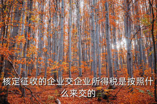 核定稅稅率是按照什么作參照的，稅率按照哪個(gè)來(lái)定