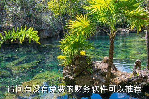 請(qǐng)問有沒有免費(fèi)的財(cái)務(wù)軟件可以推薦