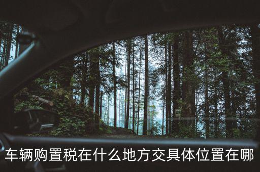 榆次汽車購(gòu)置稅在什么地方交，車輛購(gòu)置稅在什么地方交具體位置在哪