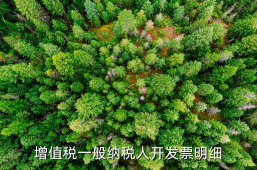 增值稅一般納稅人開(kāi)發(fā)票明細(xì)