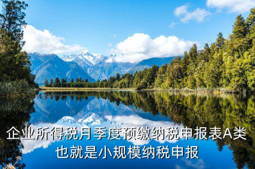 福建預(yù)繳申請表什么格式，企業(yè)所得稅月季度預(yù)繳納稅申報表A類也就是小規(guī)模納稅申報
