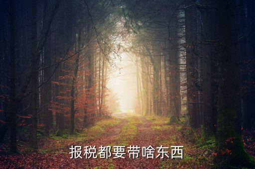 大連國稅局報(bào)稅帶什么東西，報(bào)稅都要帶啥東西