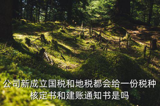 公司新成立國(guó)稅和地稅都會(huì)給一份稅種核定書和建賬通知書是嗎