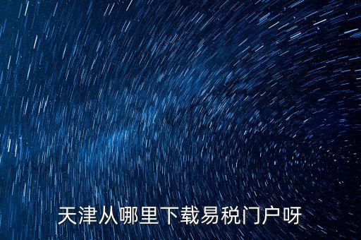 天津市地稅需下載什么地方，天津從哪里下載易稅門戶呀