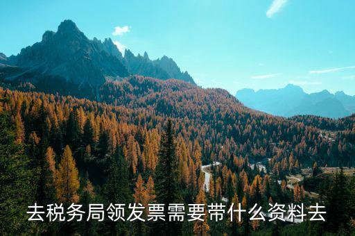 領定額發(fā)票需要帶什么，去稅務局領發(fā)票需要帶什么資料去