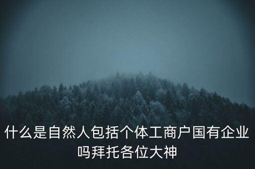 什么是稅務(wù)中的自然人，會計中自然人所指的是那種人