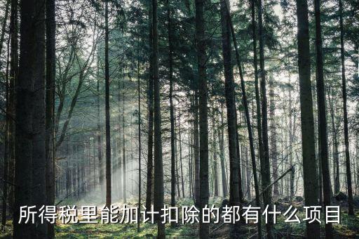 什么企業(yè)加計(jì)扣除，人員工資加計(jì)扣除政策是什么意思