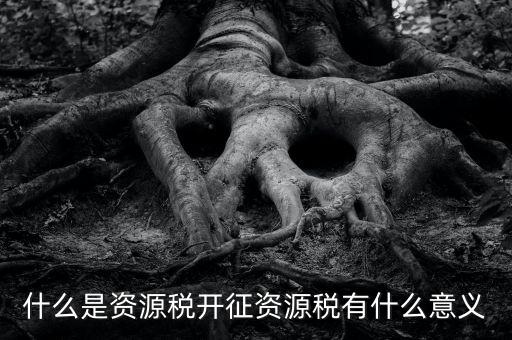 為什么開證資源稅，什么是資源稅開征資源稅有什么意義