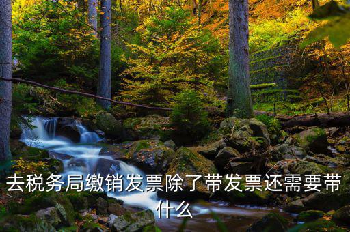 發(fā)票繳銷需要什么，未使用的發(fā)票如何繳銷需要哪些資料