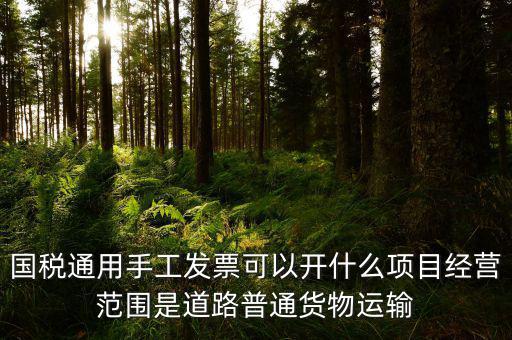 國稅通用手工發(fā)票可以開什么項目經營范圍是道路普通貨物運輸