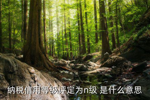 國稅信用級別是什么，納稅信用等級評定為n級 是什么意思
