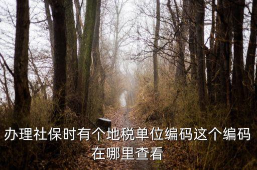 稅務(wù)局編號(hào)在什么位置，安康稅務(wù)機(jī)關(guān)地區(qū)編號(hào)在哪里