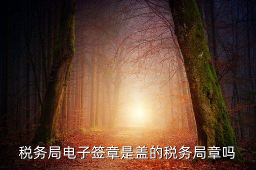 稅務局電子簽章是什么，在國稅系統(tǒng)電子簽章時為什么不是每次都提示輸入口令