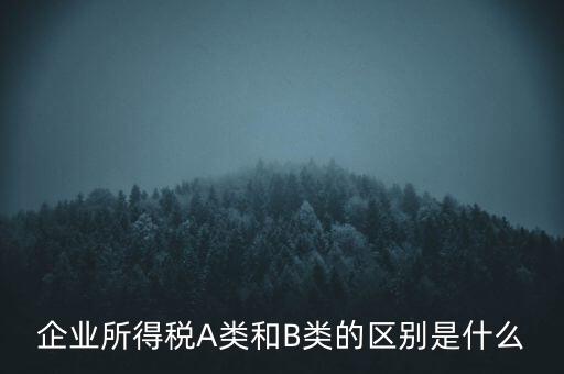 企業(yè)所得稅b類是什么意思，企業(yè)所得稅A類和B類的區(qū)別是什么