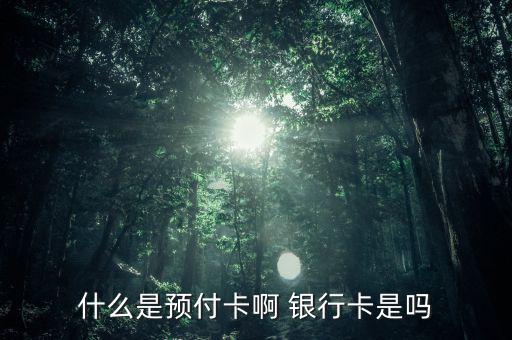 支付機(jī)構(gòu)預(yù)付卡是什么意思，銀聯(lián)預(yù)付卡是什么意思