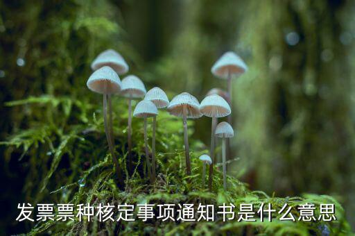 票種核定是什么，哪些情況下要進行國稅票種核定