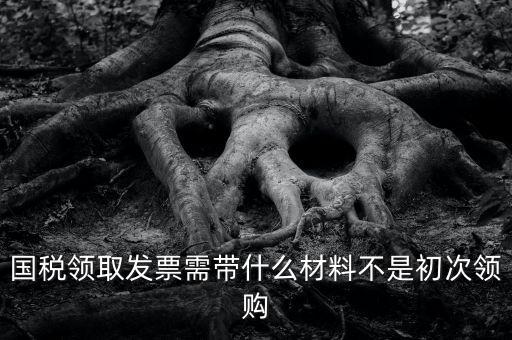 國稅領取發(fā)票需帶什么材料不是初次領購