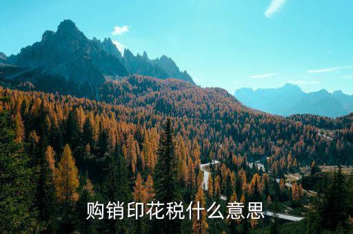 什么是購銷印花稅，購銷印花稅什么意思
