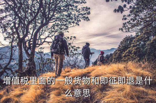 什么叫即征即退政策，增值稅里面的一般貨物和即征即退是什么意思