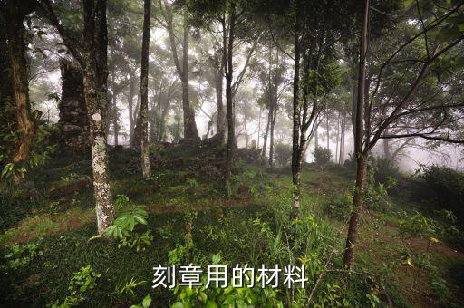 國(guó)家規(guī)定專(zhuān)用章用什么材質(zhì)的，刻章用的材料