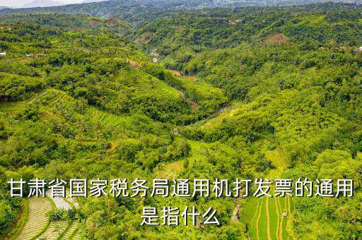 山西省稅務(wù)局六最是指什么，甘肅省國家稅務(wù)局通用機打發(fā)票的通用是指什么