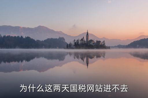 為什么濟南國稅網(wǎng)站進不去，為什么這兩天國稅網(wǎng)站進不去