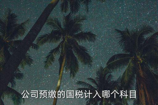 公司預(yù)繳的國稅計(jì)入哪個科目