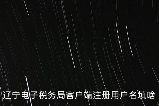 遼寧電子稅務(wù)局客戶端注冊用戶名填啥