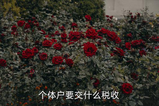 新開個體戶要交什么稅，我想開個小店當個體戶請問要交什么稅