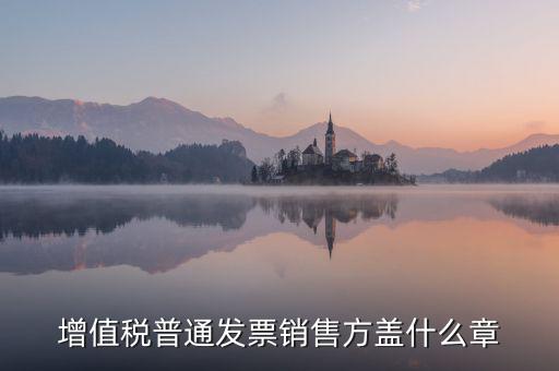 發(fā)票稅務(wù)章什么樣的，增值稅普通發(fā)票銷售方蓋什么章