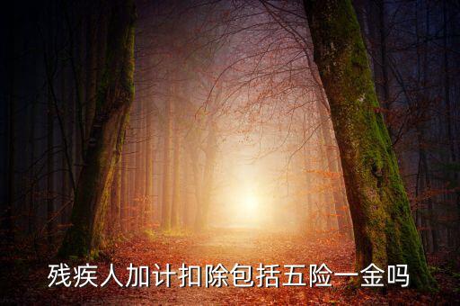 殘疾人加計(jì)扣除是什么意思，福利企業(yè)殘疾職工工資百分百加計(jì)扣除是怎么回事