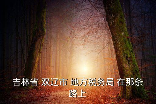 吉林市地稅局在什么位置，吉林市地方稅務(wù)局第二直屬稅務(wù)局在哪個區(qū)