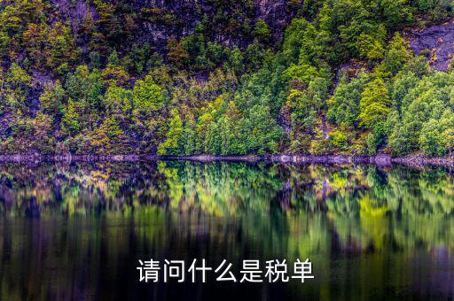 納稅申報單是什么，網(wǎng)上申報納稅都是什么報表 如何操作 簡單么