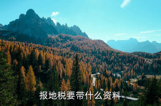 地稅都申報什么材料，申報地稅要什么資料