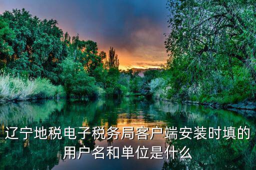 遼寧地稅電子稅務局客戶端安裝時填的用戶名和單位是什么