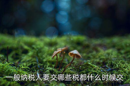 一般納稅人什么時(shí)候交稅，一般納稅人 普通發(fā)票開(kāi)具后多長(zhǎng)時(shí)間繳稅