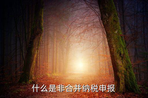 什么是非匯總納稅企業(yè)，什么是跨區(qū)經營匯總納稅企業(yè)