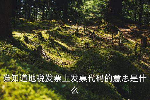 河北地稅發(fā)票的查詢碼是什么意思，如何查詢地稅發(fā)票開票點(diǎn)注冊(cè)碼是什么