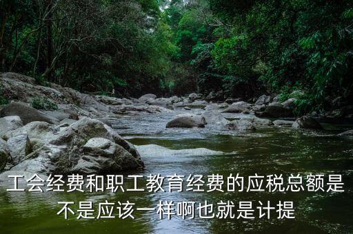 工會經(jīng)費和職工教育經(jīng)費的應稅總額是不是應該一樣啊也就是計提