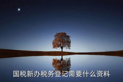 辦理國(guó)稅都需要帶什么，國(guó)稅登記需要帶什么資料