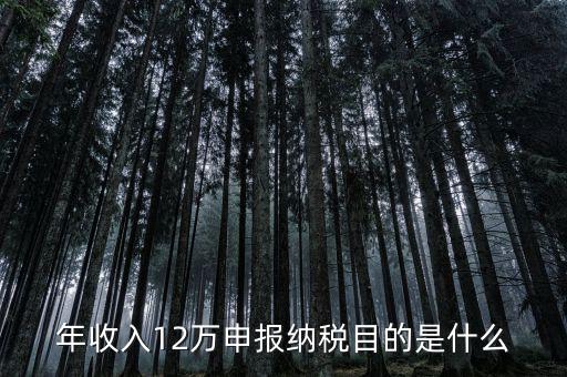 為什么12萬要報稅，年收入12萬個稅申報為什么要申報