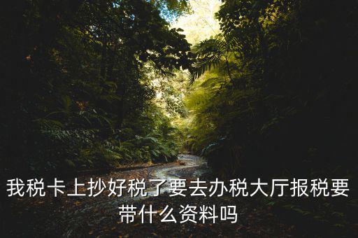 報(bào)稅廳抄報(bào)需要帶什么資料，抄稅需要帶些什么資料