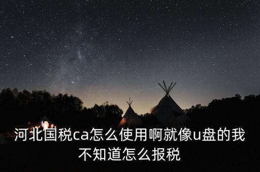 河北國稅ca怎么使用啊就像u盤的我不知道怎么報(bào)稅
