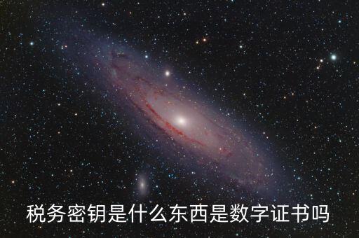稅務密鑰是什么東西是數(shù)字證書嗎