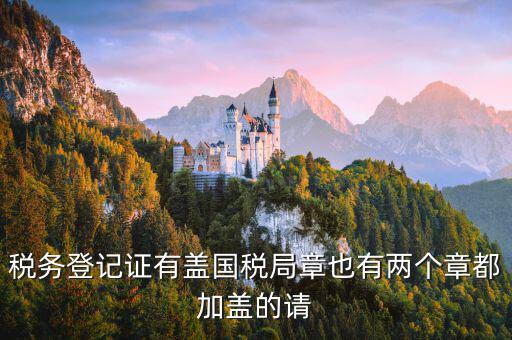 財(cái)稅證書什么樣，娛樂場所稅務(wù)登記證是什么樣子