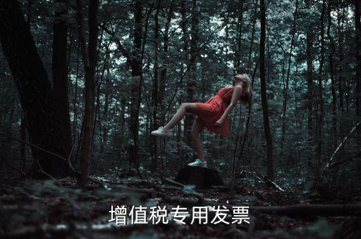 什么是增值稅專業(yè)發(fā)票，什么是增值稅發(fā)票