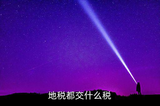 地稅要交什么稅，地稅應交哪些稅